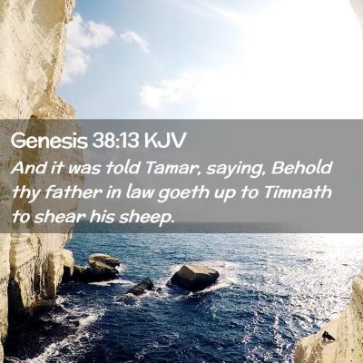 Picture 02 - Genesis 38:13 KJV - And it was told Tamar, saying, Behold thy father - Bible Verse Picture