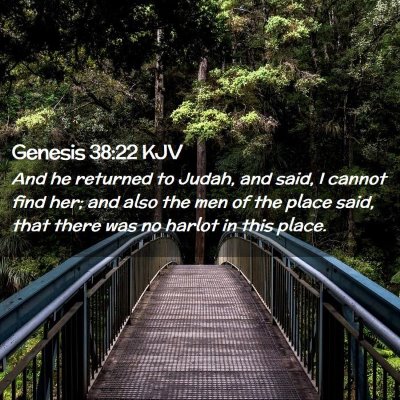 Picture 02 - Genesis 38:22 KJV - And he returned to Judah, and said, I cannot find - Bible Verse Picture