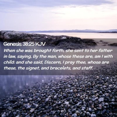 Picture 02 - Genesis 38:25 KJV - When she was brought forth, she sent to her - Bible Verse Picture