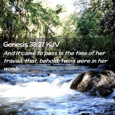 Picture 02 - Genesis 38:27 KJV - And it came to pass in the time of her travail, - Bible Verse Picture