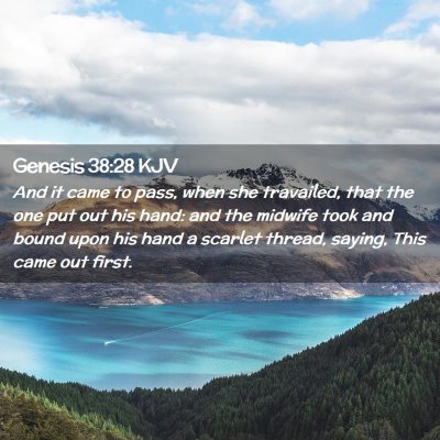 Picture 02 - Genesis 38:28 KJV - And it came to pass, when she travailed, that the - Bible Verse Picture