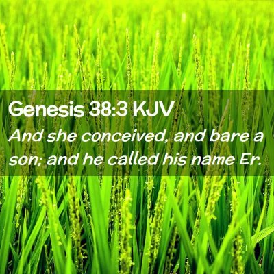 Picture 02 - Genesis 38:3 KJV - And she conceived, and bare a son; and he called - Bible Verse Picture