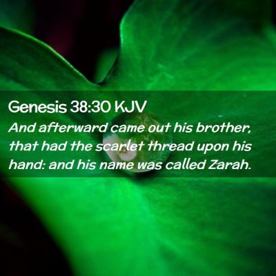 Picture 02 - Genesis 38:30 KJV - And afterward came out his brother, that had the - Bible Verse Picture