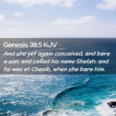 Picture 02 - Genesis 38:5 KJV - And she yet again conceived, and bare a son; and - Bible Verse Picture