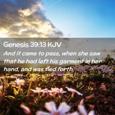 Picture 02 - Genesis 39:13 KJV - And it came to pass, when she saw that he had - Bible Verse Picture