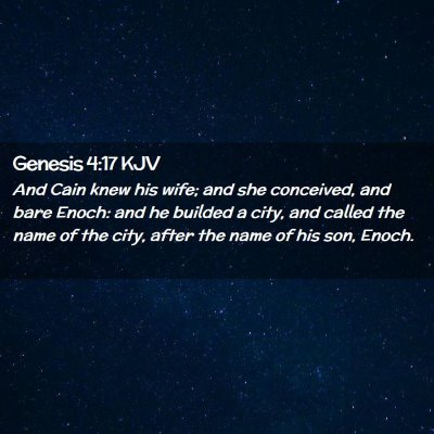 Picture 02 - Genesis 4:17 KJV - And Cain knew his wife; and she conceived, and - Bible Verse Picture