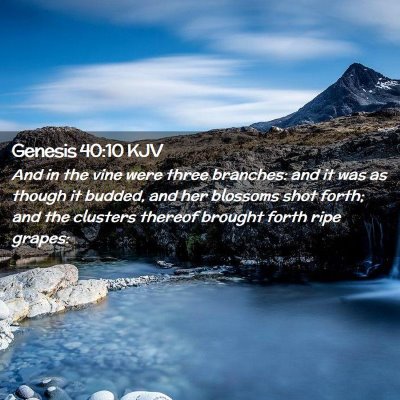 Picture 02 - Genesis 40:10 KJV - And in the vine were three branches: and it was - Bible Verse Picture