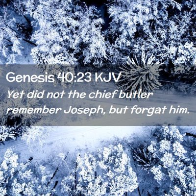 Picture 02 - Genesis 40:23 KJV - Yet did not the chief butler remember Joseph, but - Bible Verse Picture