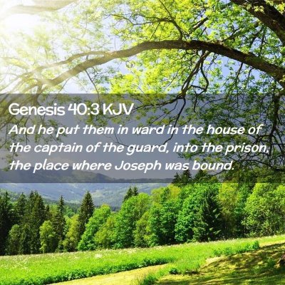 Picture 02 - Genesis 40:3 KJV - And he put them in ward in the house of the - Bible Verse Picture