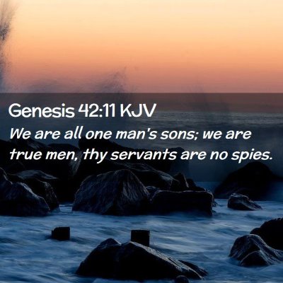 Picture 02 - Genesis 42:11 KJV - We are all one man's sons; we are true men, thy - Bible Verse Picture
