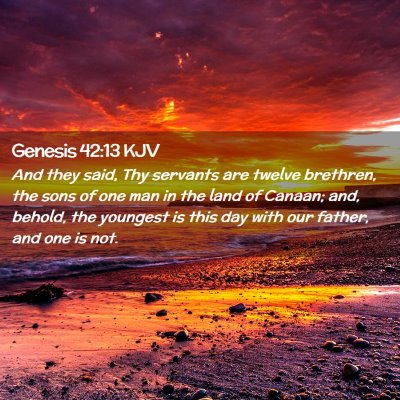 Picture 02 - Genesis 42:13 KJV - And they said, Thy servants are twelve brethren, - Bible Verse Picture