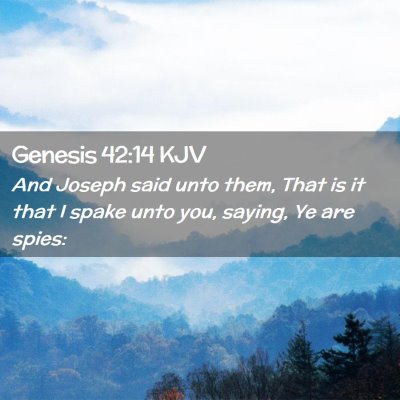 Picture 02 - Genesis 42:14 KJV - And Joseph said unto them, That is it that I - Bible Verse Picture
