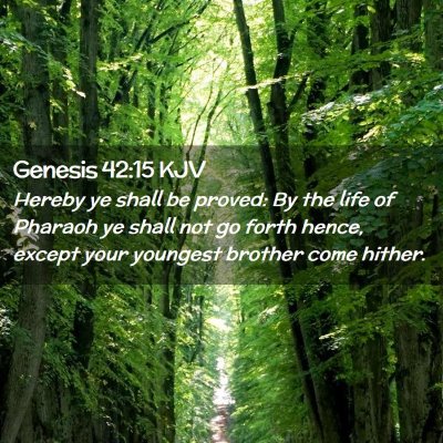 Picture 02 - Genesis 42:15 KJV - Hereby ye shall be proved: By the life of Pharaoh - Bible Verse Picture