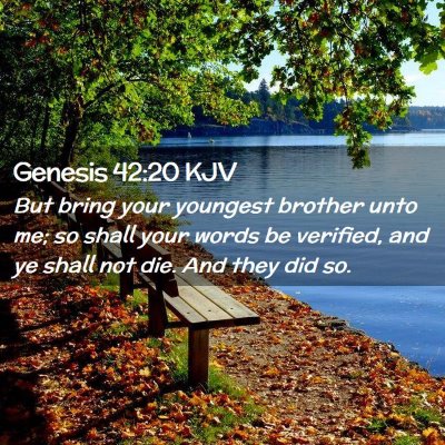 Picture 02 - Genesis 42:20 KJV - But bring your youngest brother unto me; so shall - Bible Verse Picture