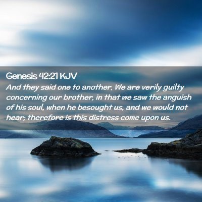 Picture 02 - Genesis 42:21 KJV - And they said one to another, We are verily - Bible Verse Picture
