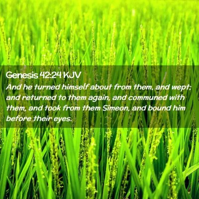 Picture 02 - Genesis 42:24 KJV - And he turned himself about from them, and wept; - Bible Verse Picture