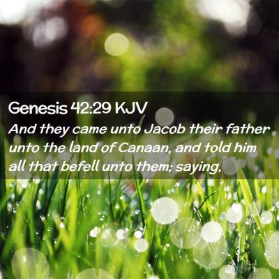 Picture 02 - Genesis 42:29 KJV - And they came unto Jacob their father unto the - Bible Verse Picture
