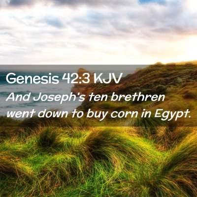 Picture 02 - Genesis 42:3 KJV - And Joseph's ten brethren went down to buy corn - Bible Verse Picture