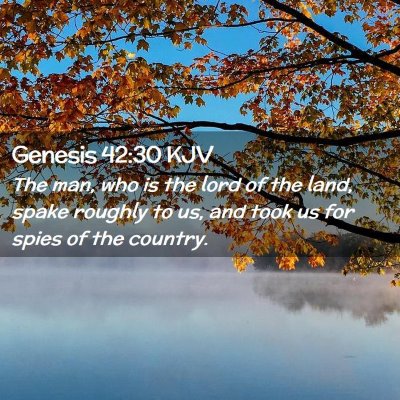 Picture 02 - Genesis 42:30 KJV - The man, who is the lord of the land, spake - Bible Verse Picture