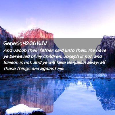 Picture 02 - Genesis 42:36 KJV - And Jacob their father said unto them, Me have ye - Bible Verse Picture