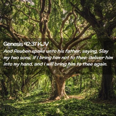 Picture 02 - Genesis 42:37 KJV - And Reuben spake unto his father, saying, Slay my - Bible Verse Picture