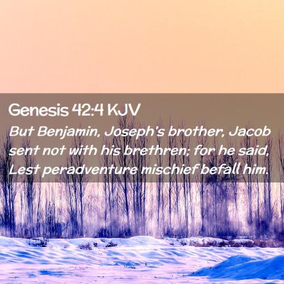 Picture 02 - Genesis 42:4 KJV - But Benjamin, Joseph's brother, Jacob sent not - Bible Verse Picture