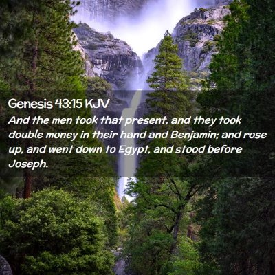 Picture 02 - Genesis 43:15 KJV - And the men took that present, and they took - Bible Verse Picture