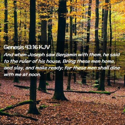 Picture 02 - Genesis 43:16 KJV - And when Joseph saw Benjamin with them, he said - Bible Verse Picture