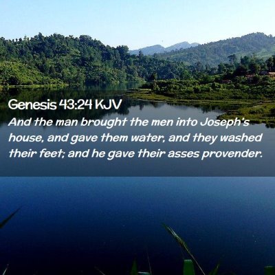 Picture 02 - Genesis 43:24 KJV - And the man brought the men into Joseph's house, - Bible Verse Picture
