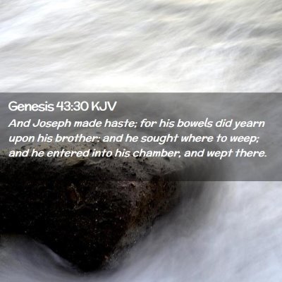 Picture 02 - Genesis 43:30 KJV - And Joseph made haste; for his bowels did yearn - Bible Verse Picture