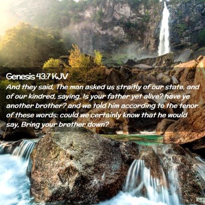 Picture 02 - Genesis 43:7 KJV - And they said, The man asked us straitly of our - Bible Verse Picture