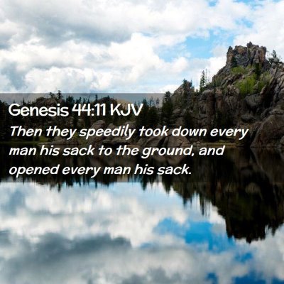 Picture 02 - Genesis 44:11 KJV - Then they speedily took down every man his sack - Bible Verse Picture
