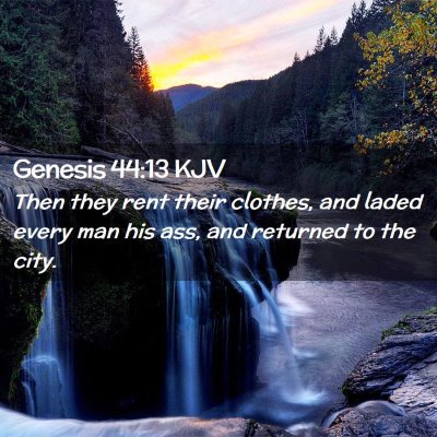 Picture 02 - Genesis 44:13 KJV - Then they rent their clothes, and laded every man - Bible Verse Picture
