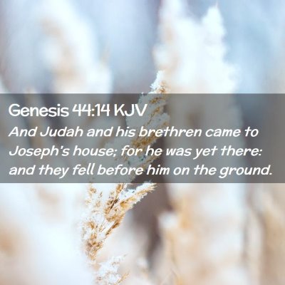 Picture 02 - Genesis 44:14 KJV - And Judah and his brethren came to Joseph's - Bible Verse Picture