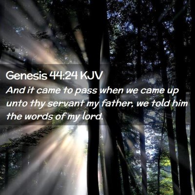 Picture 02 - Genesis 44:24 KJV - And it came to pass when we came up unto thy - Bible Verse Picture