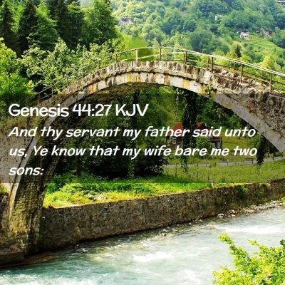 Picture 02 - Genesis 44:27 KJV - And thy servant my father said unto us, Ye know - Bible Verse Picture
