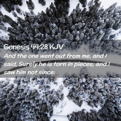 Picture 02 - Genesis 44:28 KJV - And the one went out from me, and I said, Surely - Bible Verse Picture