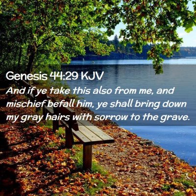 Picture 02 - Genesis 44:29 KJV - And if ye take this also from me, and mischief - Bible Verse Picture