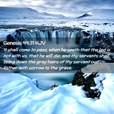 Picture 02 - Genesis 44:31 KJV - It shall come to pass, when he seeth that the lad - Bible Verse Picture