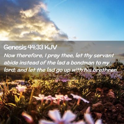 Picture 02 - Genesis 44:33 KJV - Now therefore, I pray thee, let thy servant abide - Bible Verse Picture