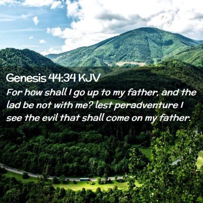 Picture 02 - Genesis 44:34 KJV - For how shall I go up to my father, and the lad - Bible Verse Picture