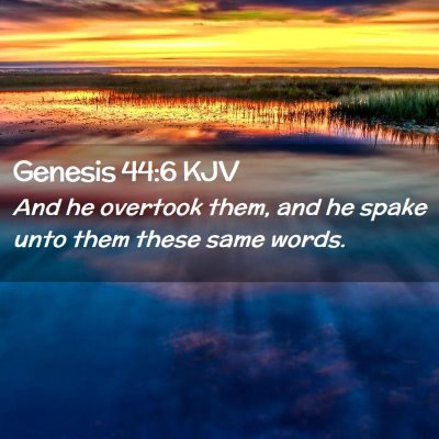 Picture 02 - Genesis 44:6 KJV - And he overtook them, and he spake unto them - Bible Verse Picture