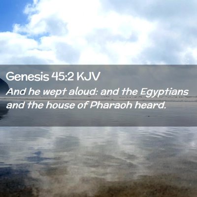 Picture 02 - Genesis 45:2 KJV - And he wept aloud: and the Egyptians and the - Bible Verse Picture