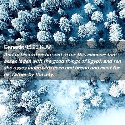 Picture 02 - Genesis 45:23 KJV - And to his father he sent after this manner; ten - Bible Verse Picture