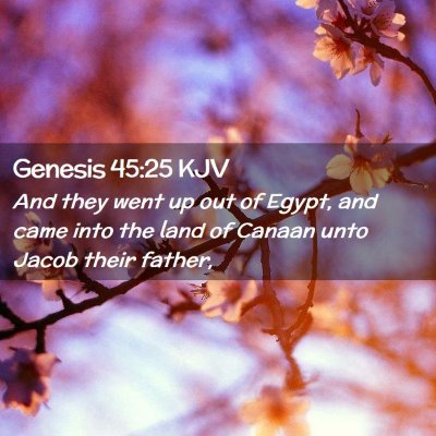 Picture 02 - Genesis 45:25 KJV - And they went up out of Egypt, and came into the - Bible Verse Picture