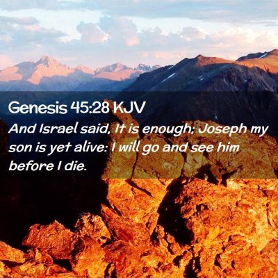 Picture 02 - Genesis 45:28 KJV - And Israel said, It is enough; Joseph my son is - Bible Verse Picture