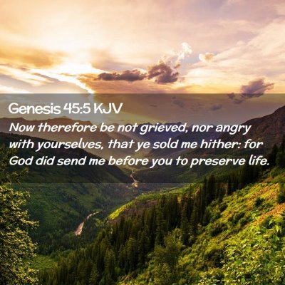 Picture 02 - Genesis 45:5 KJV - Now therefore be not grieved, nor angry with - Bible Verse Picture