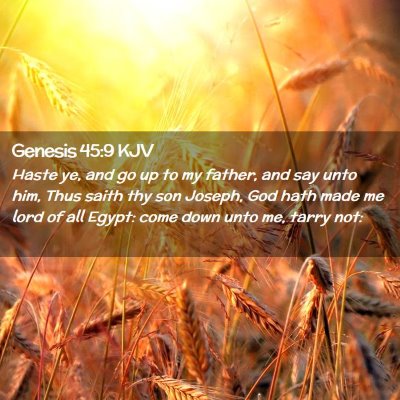 Picture 02 - Genesis 45:9 KJV - Haste ye, and go up to my father, and say unto - Bible Verse Picture