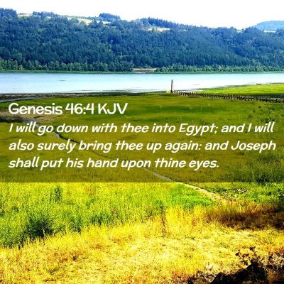 Picture 02 - Genesis 46:4 KJV - I will go down with thee into Egypt; and I will - Bible Verse Picture