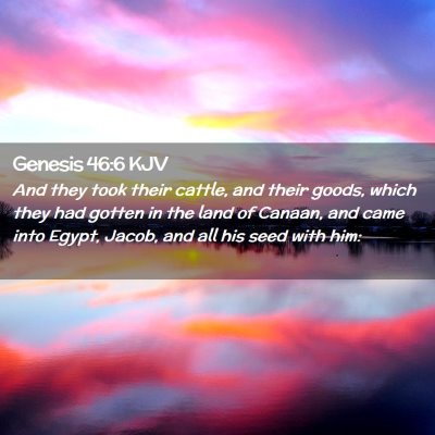 Picture 02 - Genesis 46:6 KJV - And they took their cattle, and their goods, - Bible Verse Picture